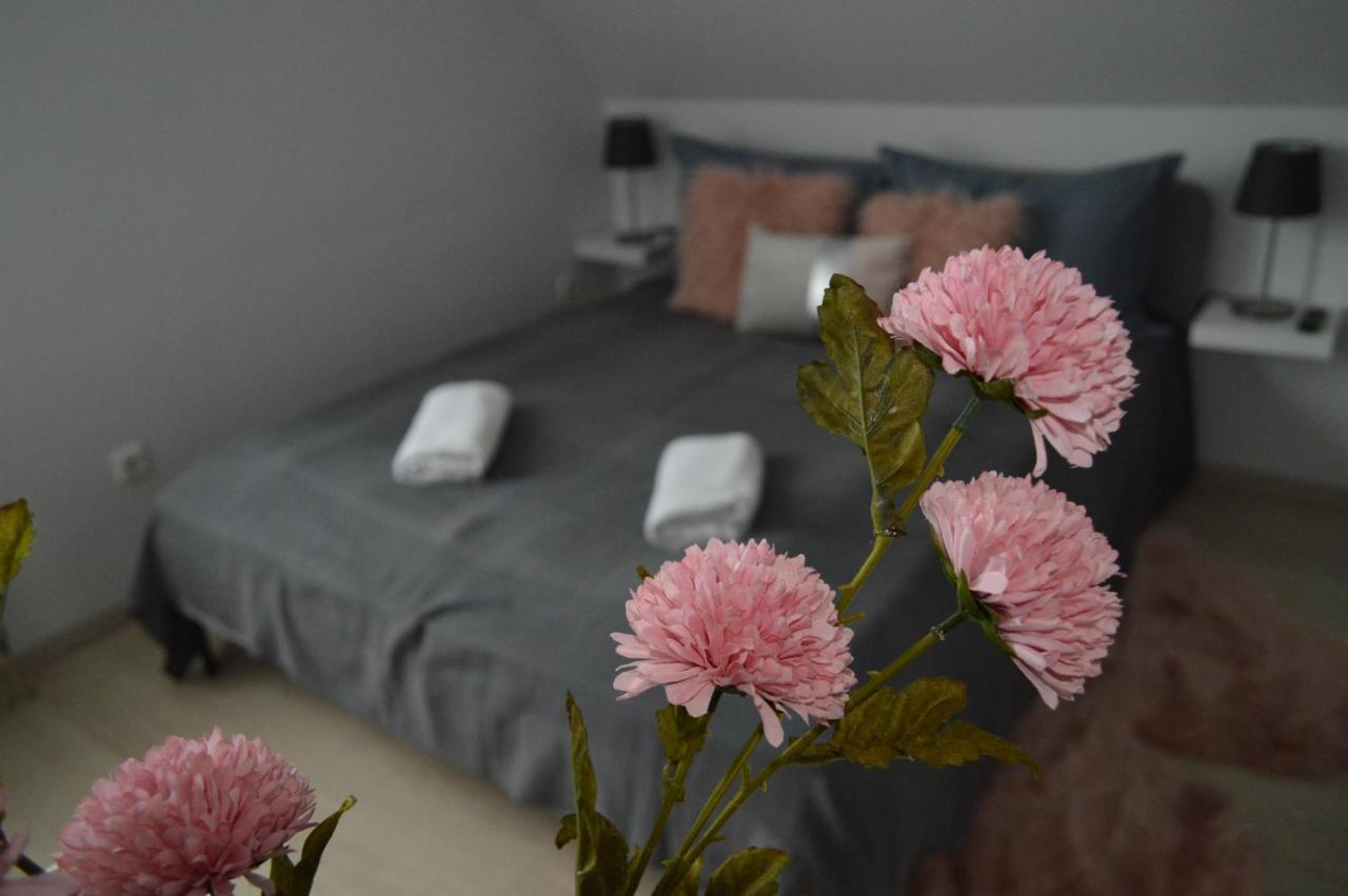 Rebeka Panzio Bed & Breakfast ตีฮานี ภายนอก รูปภาพ